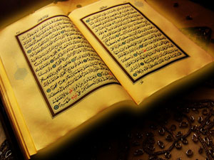 Onların bilgisi Rabbimin katında bir kitapta yazılıdır