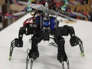 Gökten avının üzerine inen robot örümcek