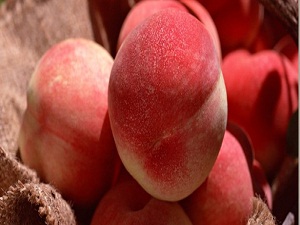 Sindirim sistemi için doğal ilaç şeftali