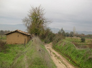 İzmir’deki 2B arazilerinin metrekaresi ortalama 9 lira
