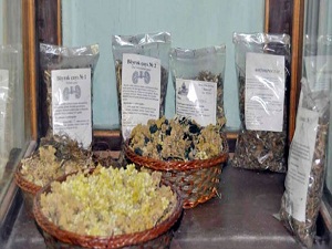 Bitkisel eczane şifa dağıtıyor