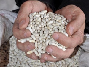 Kuru fasulyede gümrük vergisi sıfırlandı