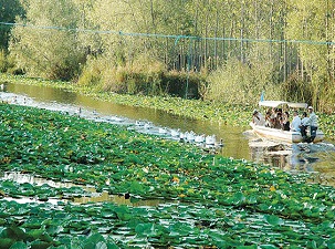 Bir keşfedildi pir keşfedildi