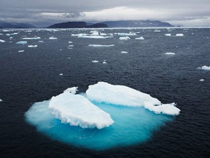 Kuzey Buz Denizi 'hızla asitleniyor'
