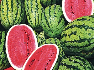 Karpuz kanseri önlüyor