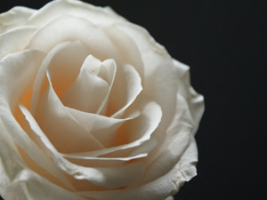 Üç özellik kimde bulunursa o, imanın tadını tadar