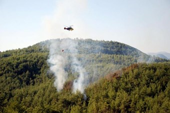 Orman Yangınlarının Yüzde 60’I İnsan Kaynaklı