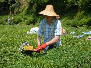 Maliye'den çiftçilere müjde