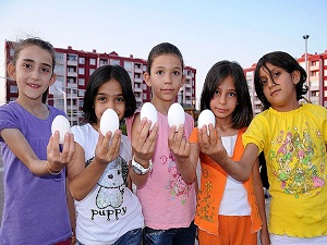 Sütten sonra yumurta