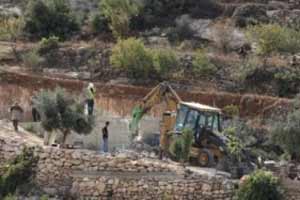 Filistinli bakan: İsrail son 10 yılda bir milyon ağacı katletti