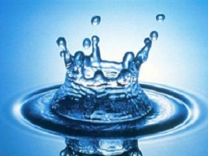 TZOB: Kuraklığın önlemi su tasarrufu