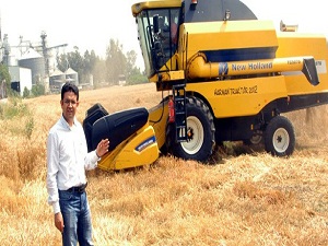 Çukurova'nın ilk buğday hasadı yapıldı