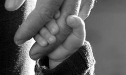 Toruna teşvik dedeye destek