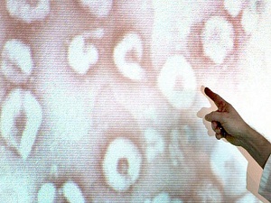 Fransa'da ikinci corona virüs vakası