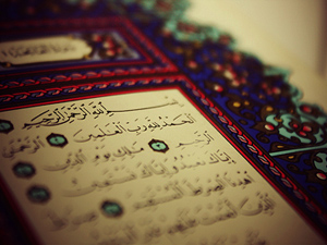 Aşırı gitmeyin, yoksa üzerinize gazabım iner