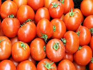 Domates fazla geldi bezelye yetmedi