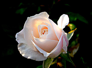 Ailenin yanına girdiğinde onlara selâm ver