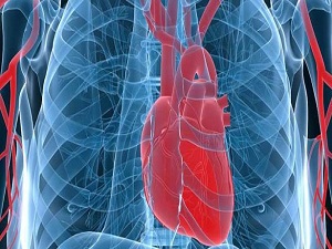 Kalp pilleri ani ölümleri önlüyor