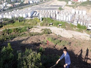 Dilovası'nın oksijen deposu yok mu ediliyor?