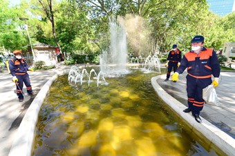Başkent'in ‘sinek haritası’ ilaçlamada yardımcı