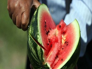 Tüketicilere 'Adana karpuzu' uyarısı