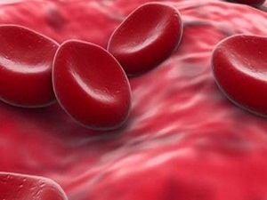 Kolesterol yararlı mı zararlı mı?