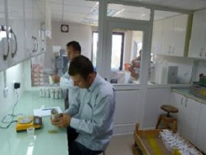 Tahılda Verim 80 Kilodan 1 Tona Ulaştı