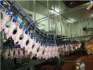 Yıllda 32,6 kilogram et tükettik