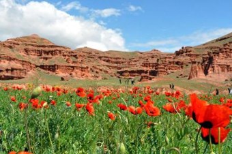 Erzurum'da Tortum Şelalesi Ve Peri Bacaları 'Dünya Mirası' Adayı