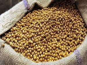 Leblebi diyarı'ndan 15 ülkeye ihracat