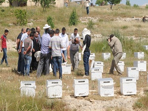 Mardin'de bal üreticilerine 418 polen tuzaklı kovan verildi