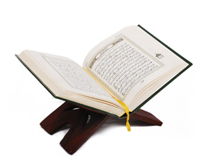 Siz üstün gelen kimseler olacaksınız