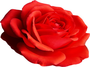 Zandan sakının, çünkü zan, sözlerin en yalan olanıdır