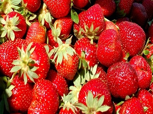 Çileğin faydaları saymakla bitmiyor