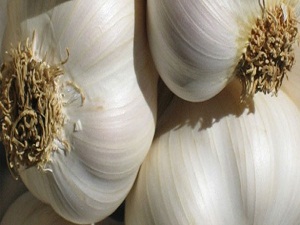 Soğan ve sarımsak kanser düşmanı