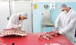 Kasaplara zırhlı eldiven şartı