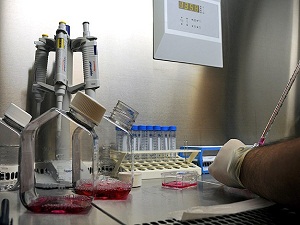 Kolesterol ve ilaçları düşmanınız değil