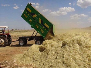 Saman kıymete bindi, çiftçi anız yakmaktan vazgeçti