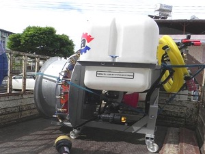 Hatay'da Zeytin Dal Kanseriyle Mücadele Ediliyor