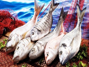 Azerbaycan'a balık ihracatı arttı