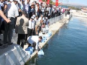 Eğirdir Gölü’ne 500 bin sazan yavrusu salındı