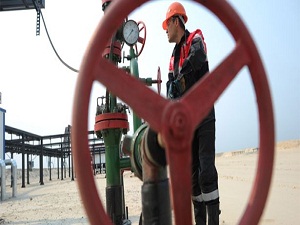 '4 milyar metreküplük doğalgaz alımı daha özelleşecek'