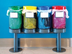 Atık şişeler sokak hayvanlarına yem olarak dönüyor