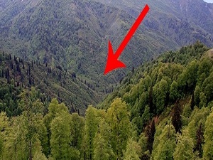 Türkiye'nin ilk biyosfer rezerv alanı Artvin'de