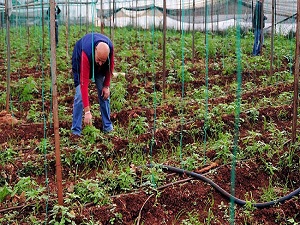 Çevreye duyarlı tarım