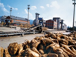 Fabrikalar özelleşirse şekerin fiyatı ucuzlar