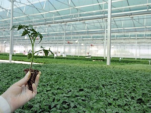 Bitkisel üretimde biyolojik mücadeleye destek