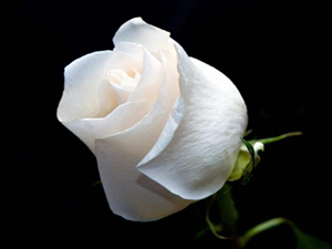 Oruç, bedenin zekâtıdır