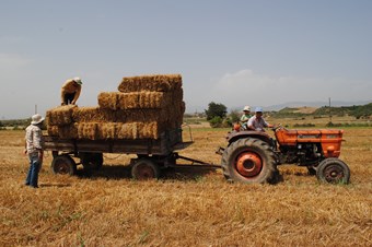 Çiftçilere hasat sonrası anız yakmayın uyarısı