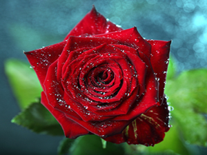 Alış verişte aldatılırsan şunu söyle